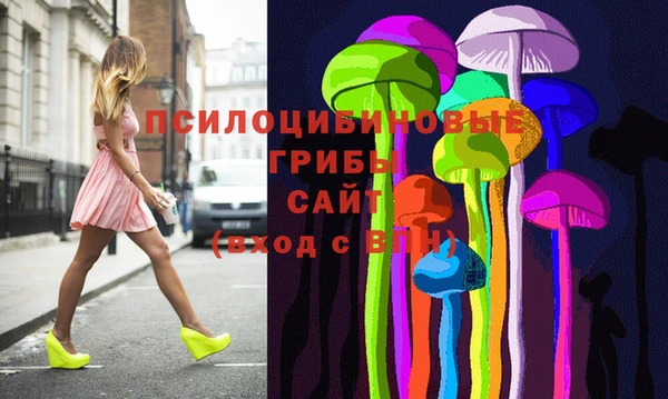 бошки Вяземский