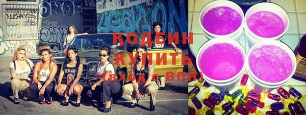 шишки Вязьма