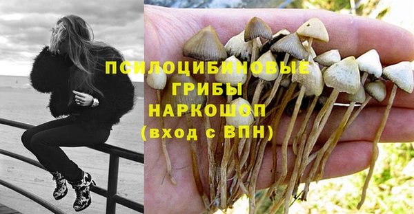 шишки Вязьма