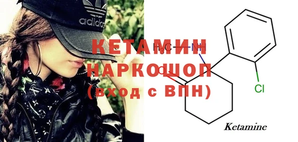 шишки Вязьма