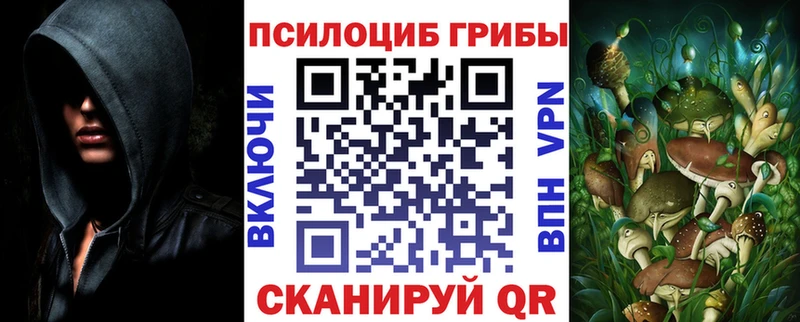 Купить закладки  Приморск  Галлюциногенные грибы ЛСД 